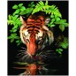 Malování podle čísel Tygr u vody s akrylovými barvami a štětcem