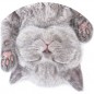PopSockets PopGrip Gen.2, Cat Nap, spící koťátko