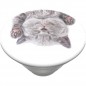 PopSockets PopGrip Gen.2, Cat Nap, spící koťátko