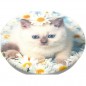 PopSockets PopTop Gen.2, Purr-fect Flower, koťátko v kopretinách, výměnný vršek