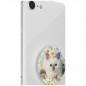 PopSockets PopTop Gen.2, Purr-fect Flower, koťátko v kopretinách, výměnný vršek