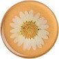 PopSockets PopGrip Gen.2, Pressed Flower White Daisy, bílý kvítek zalitý v pryskyřici