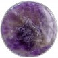 PopSockets PopGrip Gen.2, Amethyst, pravý ametyst