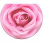 PopSockets PopTop Gen.2, Rose All Day, růžová růže, výměnný vršek