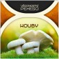 ALBI Vědomostní pexeso - Houby