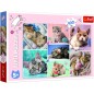Trefl Puzzle Koťátka 100 dílků