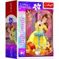 Trefl Minipuzzle Krásné princezny/Disney Princess 54dílků 4 druhy