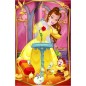 Trefl Minipuzzle Krásné princezny/Disney Princess 54dílků 4 druhy