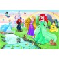 Trefl Puzzle Poznejte princezny 60 dílků