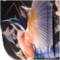 Volnočasový batoh BAAGL eARTh - Kingfisher by Caer8th