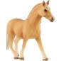 Kůň domácí palomino zooted