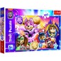 Puzzle Seznamte se s mocnými štěňaty Paw Patrol/Tlapková patrola 100 dílků