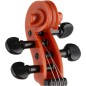 Housle/Viola