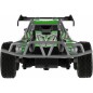 Auto RC Buggy rychlostní