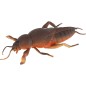 Gekon antistresový natahovací silikon 18cm