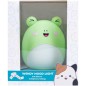 Squishmallows FIZZ Dekorativní osvětlení - Žába Wendy