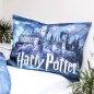 Povlečení Harry Potter HP054 svítící efekt