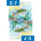 Karty s násobilkou: Násobení 6-10