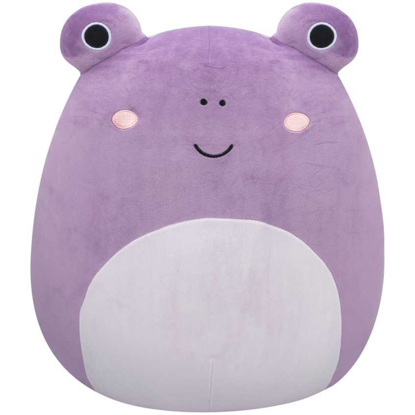 Squishmallows | Toys | 5 Summer 223 Squishmallows Coleen The Purple Chameleon Brand New Release Htf 64037b1f56b2f8e4f2e88221
