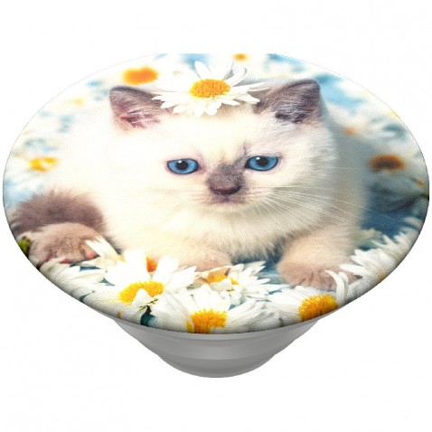 PopSockets PopTop Gen.2, Purr-fect Flower, koťátko v kopretinách, výměnný vršek