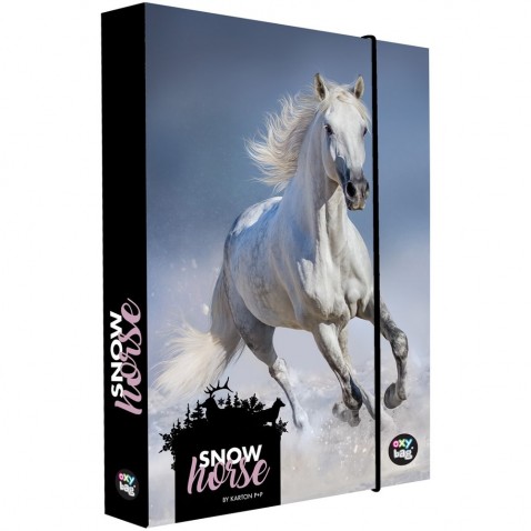 Box na sešity A5 Jumbo snow horse