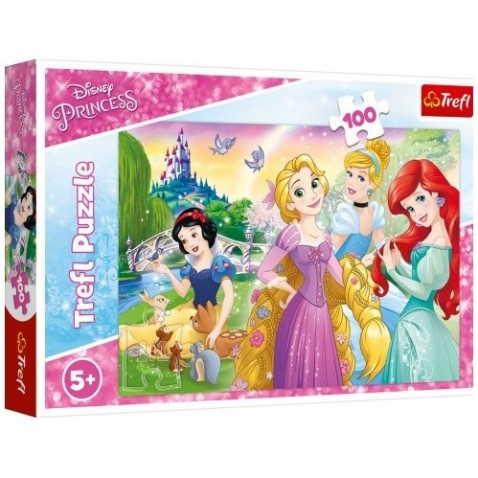 Puzzle Disney princezny - Sen o princezně 100 dílků