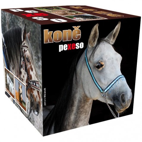 Pexeso box Koně