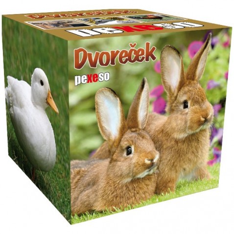 Pexeso box Dvoreček