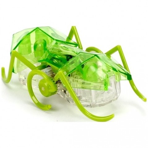 HEXBUG Micro Ant zelená