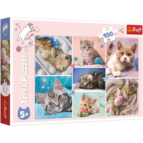 Trefl Puzzle Koťátka 100 dílků