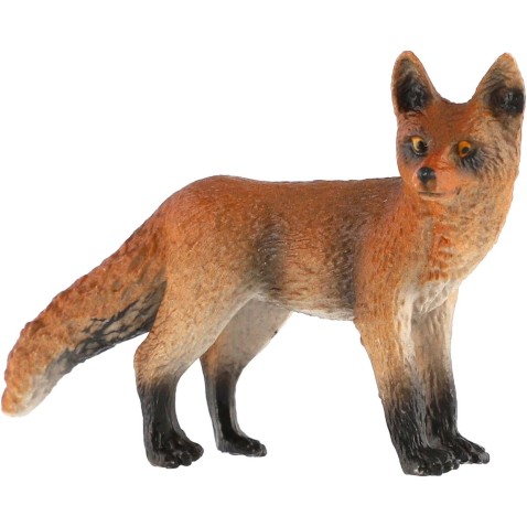 Liška obecná zooted