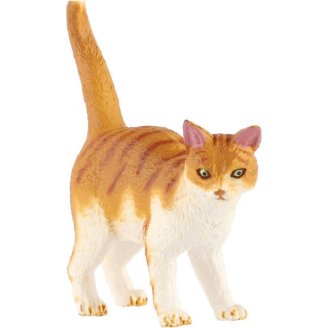 Kočka domácí zooted