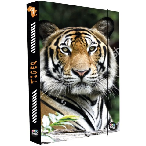 Box na sešity A4 Jumbo Tiger