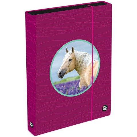 Box na sešity A4 Jumbo OXY Sherpy Pink
