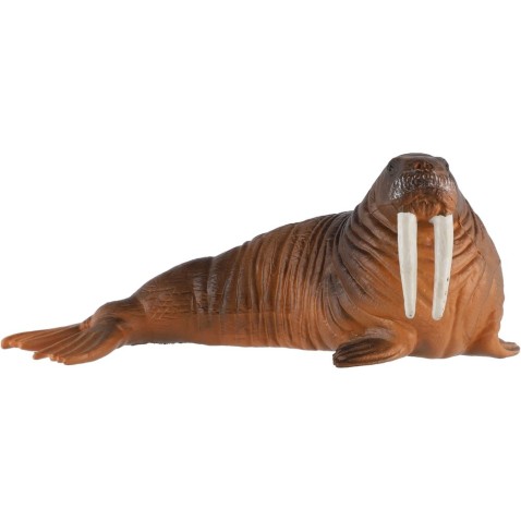 Mrož lední zooted