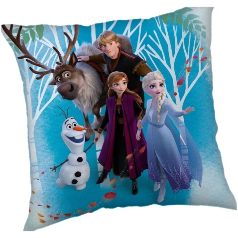 Polštářek Frozen 02 Family