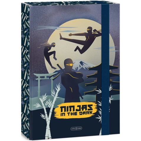 Box na sešity A4 Ninjas in the Dark