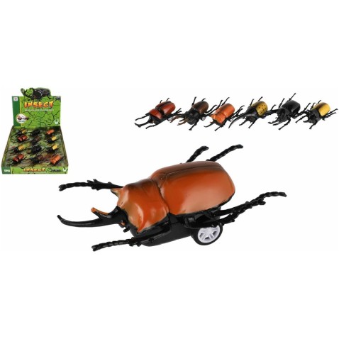 Brouk natahovací, více variant