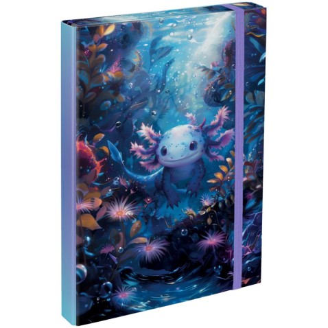 Box na sešity A4 Baagl Axolotl