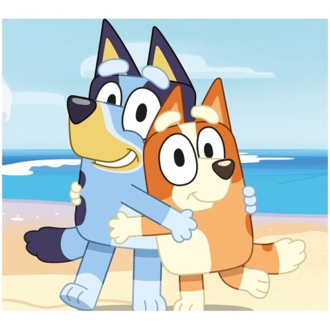 Fleecová deka pro děti Bluey