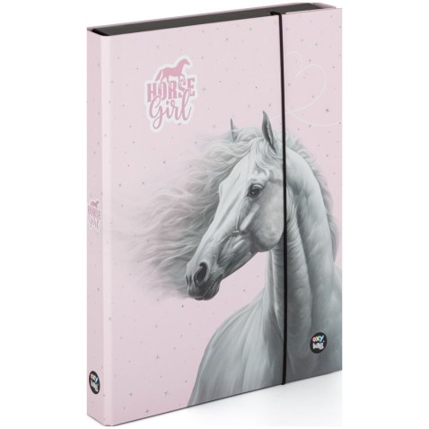 Box A4 Jumbo kůň romantic