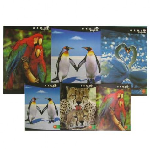 Školní sešit A5 540 Pigna Orne