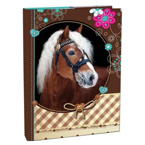 Box na sešity A4 Sweet Horse