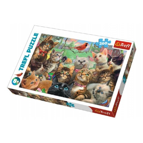 Puzzle Kočky 260 dílků