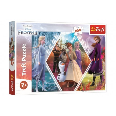Puzzle Ledové království II/Frozen II 48x34cm 200 dílků