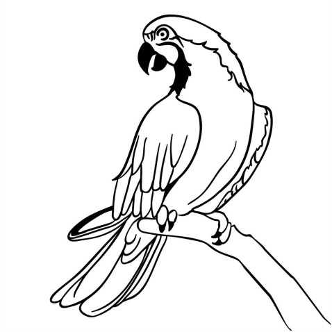 Malování pískem šablona Papoušek