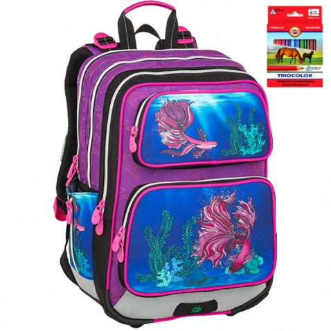 Školní batoh Bagmaster GALAXY 9 C