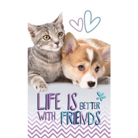 Dětský ručník Přátelé