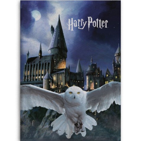 Deka Harry Potter Hedvika