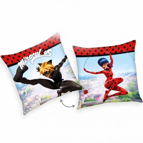 Dětský polštář Kouzelná beruška a Černý kocour